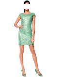 Bodyforming-Paillettenkleid mint