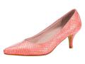 Lack-Pumps koralle