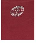 Marken-Herren-Shirt bordeaux