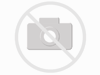 TOM TAILOR Damen Plussize Bluse Gr. 46
